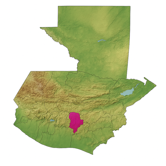 Guatemala - Finca El Socorro - Washed Java